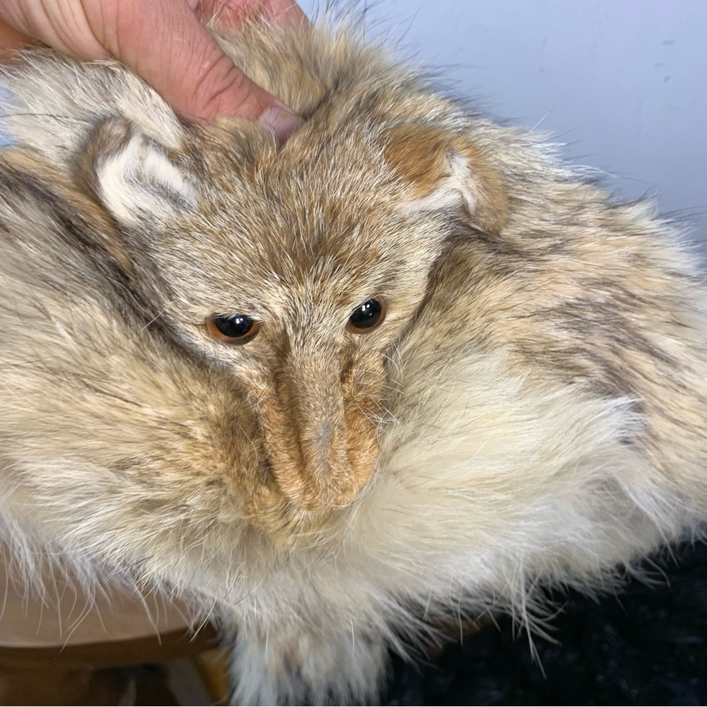 Vintage coyote fur hat